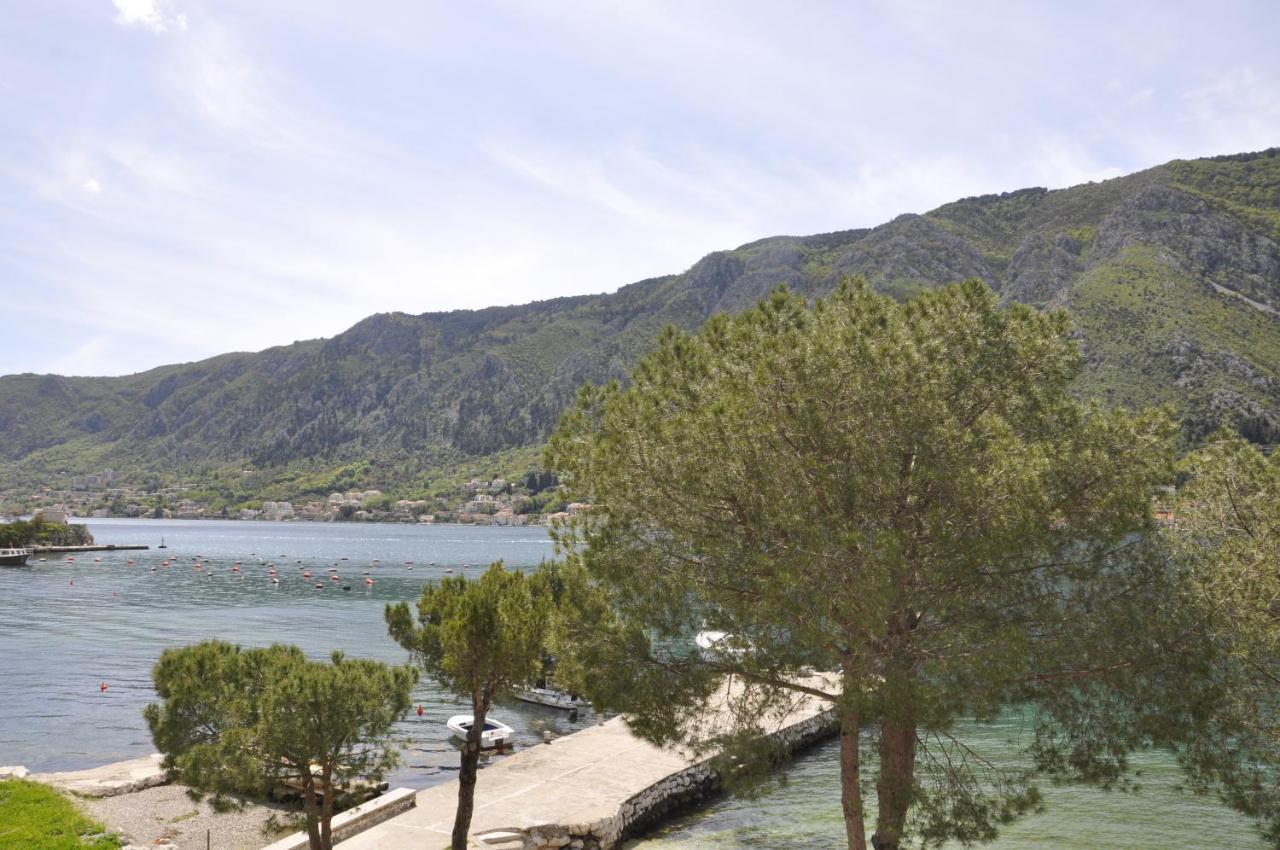 Apartments Vujosevic Kotor Ngoại thất bức ảnh