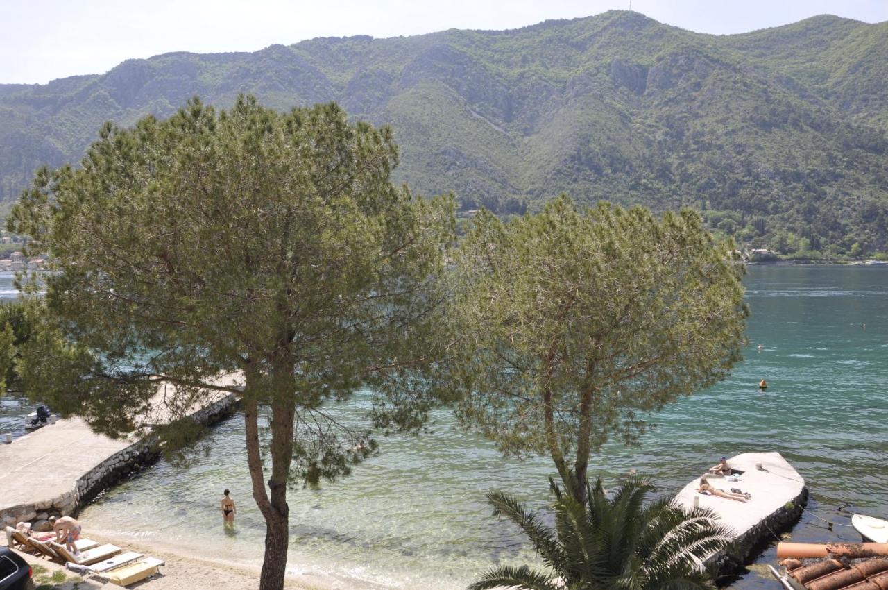 Apartments Vujosevic Kotor Ngoại thất bức ảnh