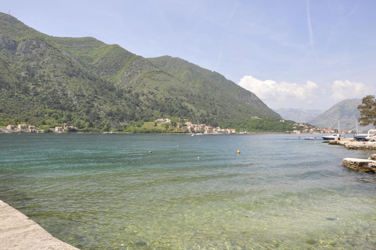 Apartments Vujosevic Kotor Ngoại thất bức ảnh